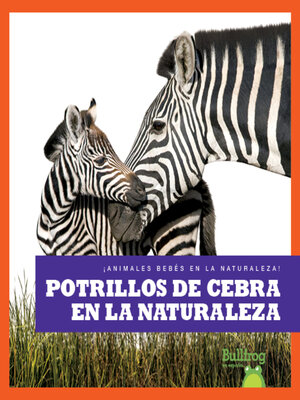 cover image of Potrillos de cebra en la naturaleza